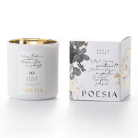Paris Night (390G)